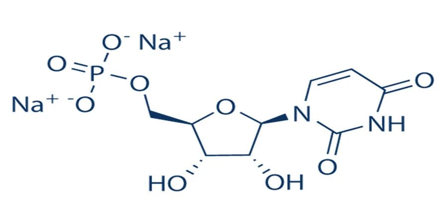 Disodium uridine 5'-phosphate t